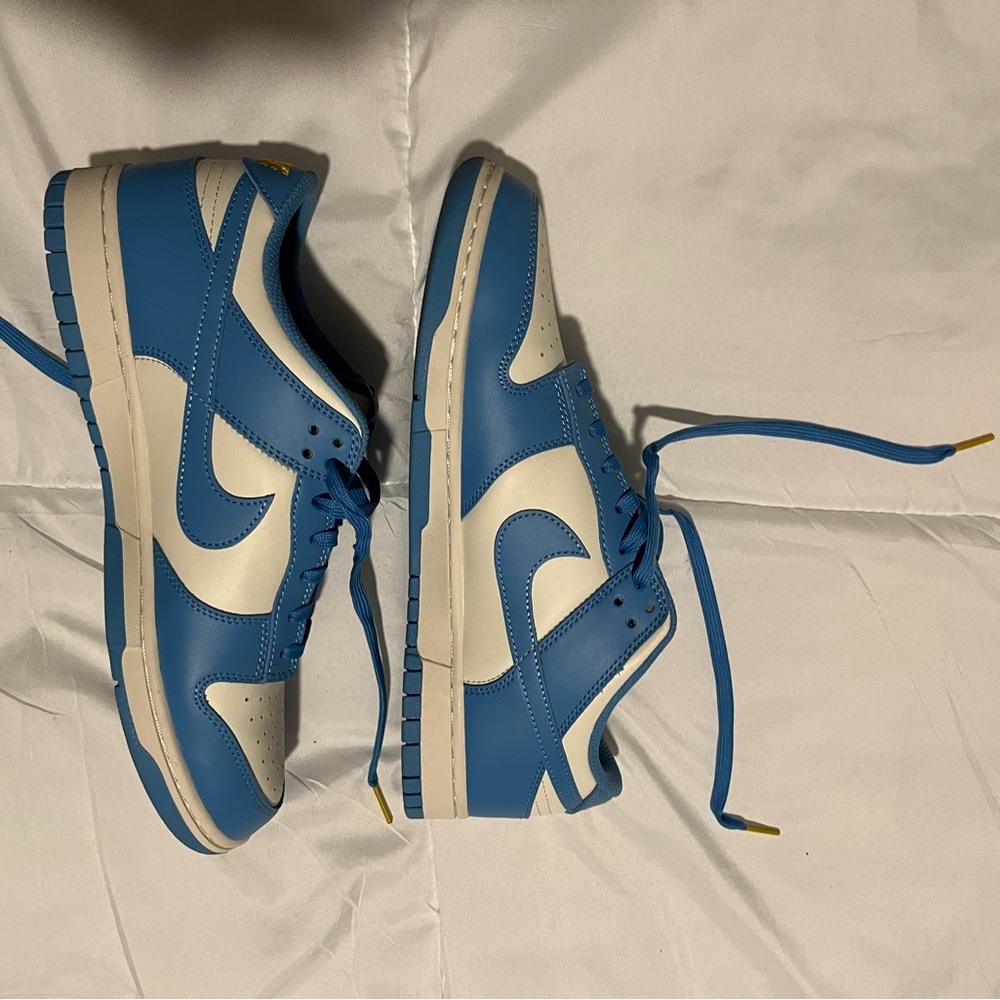 Nike Dunk Low Coast